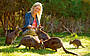 1 Day Puffing Billy, Kangaroos, Koalas and Penguins Tour